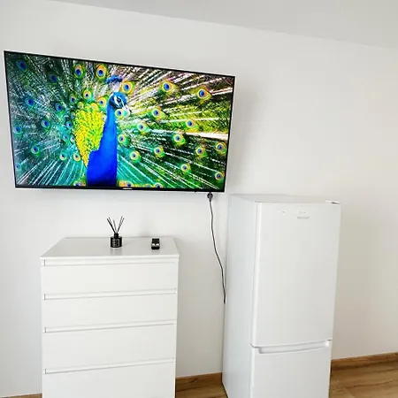 Bright Modern In *
