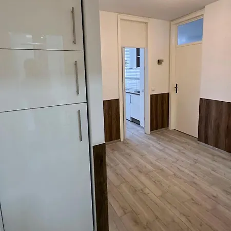 Bright Modern In Apartment